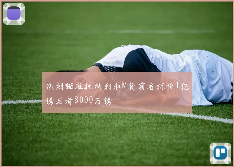热刺瞄准托纳利和M费前者标价1亿镑后者8000万镑
